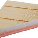 ACDelco GM Original Equipment A3178C (20857930) Air Filter