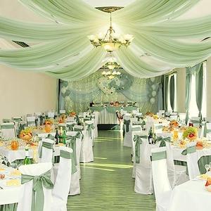 BBTO 6 Panels Sage Ceiling Drapes for Weddings 5 ft X10 ft Green Chiffon Curtain Wedding Ceiling Drapes Sheer Curtains Chiffon Draping Fabric for Ceremony Party Birthday Bridal