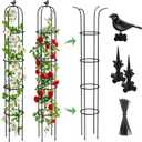 2 Pack Garden Obelisk Trellis for Climbing Plants Outdoor, 6.2 FT Tomato Cage, Rose, Flowers, Grape, Pea, Cucumber Trellis, Rustproof Plastic Coated Metal Plant Support Trellis for Potted Plants (Black)