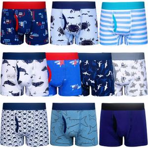 BIG ELEPHANT Boys Boxer Briefs 10-Pack, 100% Cotton Toddler Underwear, Dinosaur and Car Print, Soft Breathable Underpants