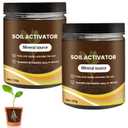 Premium Soil Activator & Liquid Fertilizer,Dirt Health Booster, Liquid Fertilizer for Indoor & Outdoor Plants for Raised Garden Beds, Potting Mix, and Seedling Compost (2 Bottle)