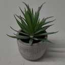 Kurrajong Farmhouse Artificial Plant | 8" Fake Plant for Desk Decor | Artificial Succulent in Pot | Fake Succulent | Faux Plant Indoor | Artificial Greenery for Shelf Decor
