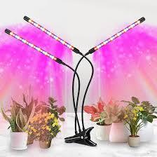 Grow Lights For Indoor Plants