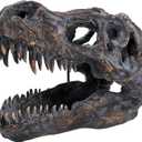 T-rex Skull Wall-Mounted Dinosaur Head Trophy Faux Taxidermy Wall Statue Fossil Figurine Wall Decor Tyrannosaurus Rex Skull Sculpture for Man Cave 15.5''Long