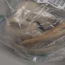 LITTLE RAWR Silicone Baby Feeding Set 14 Pcs,Baby Led Weaning Supplies, Baby Spoons Suction Bowl Divided Plate Bib Cup Finger Brush,First Stage Solid Food Eating Utensils  6+ Months(Beige)