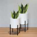 ARNIS Modern Plant Pots, Large Planters with Stand, Set of 2 Decorative Planters, Metal Pots with Drainage Holes for Living Room, Office, Garden or Balcony, 10.5 &12.25 Inch, White