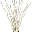 Dried Curly Willow Branches, 15 Stems Dried Twigs Sticks 18-19 Decorative 100% Natural Birch Branches for Vases, DIY, Floral Arrangement, Centerpiece, Rustic Home Decor, White