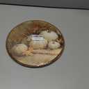 TLESKE Vintage Fall Pumpkins Round Wall Art Decor Framed 10x10, Autumn Rustic Farmhouse Canvas Wall Art Prints Artwork, Thanksgiving White Pumpkins Wall Hanging Room Door Decor for Living Room Bedroom