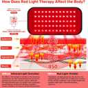 Red Light Therapy Belt, 3 in 1 LED Bead Infrared Light Therapy for Body, Wearable Wrap with Timer for Back Shoulder Waist 660nm Red Light-Therapy & 850nm Infrared Light Device Home Use (Corded)