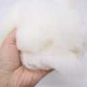 Ivie Organic Luxury Cotton Batting Fiber Natural White for Stuffing (Combed Cotton 1lb)