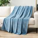 PAVILIA Dusty Blue Fleece Throw Blanket for Couch, Light Slate Blue Super Soft Fuzzy Flannel Throw for Sofa, Luxury Plush Microfiber Bed Blanket, Cozy Home Decorative Velvet Gift Blanket, 50x60