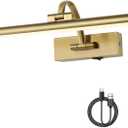 DESOOP Battery Operated Picture Light with Remote and Timer, Wireless Art Lights for Paintings Brass Rechargeable Gallery Light Dimmable Artwork Lighting for Canvas, Portrait 16'' Inch Warm White