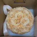 27 Forever Roses Dome in Luxury White Box, Eternal Real Roses Birthday Gifts for Women, Preserved Flowers for Delivery Prime, Anniversary, Valentine's Day, Mothers Day for Mom (Champagne)