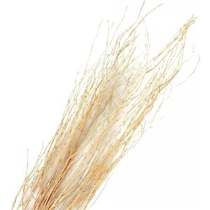 Branches for Vase, 3'4' Natural Birch Tree Branches for Decoration, Bundle of 10 Tall Decorative Sticks for Vases, Rustic Wood Branches for Crafts, Weddings, Seasonal & Home Dcor - Gold