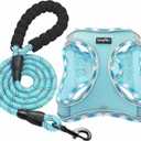 haapaw Dog Harness with Leash Set, No Pull Adjustable Reflective Step-in Puppy Harness with Thickened Padded Vest for Extra-Small/Small Medium Dogs (Turquoise) Size Small