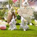 Braxio Easter Bunny Family Figurine Decoration - Bunny Collectible Figurines for Easter Decoration/Spring/Wedding Set of 2