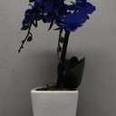 15" Tall Artificial Silk Phalaenopsis Orchid Flower Plant Pot Arrangements (Navy Blue)