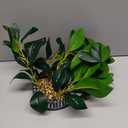 AlphaAcc Artificial Succulents Plants Decor Greenery Fake Succulents Indoor Potted Fake Plant with Rustic Black Clay Planter for Farmhouse Room Bathroom Bedroom Kitchen Office Dese Coffee Table Decor (12.8" H)