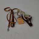 AIITLE Comfortable Dog Harness and Leash Set for Walking - Spring Step in Vest Harness,Reflective Bands, Adjustable No Pull Puppy Essentials, for Small Dogs and House Cats Beige ,Size S