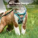 Cat Harness and Leash Set, Step-in Escape Proof Adjustable Vest Harness for Small Medium Large Cats, Lightweight Soft Breathable Reflective Kitten Harness for Walking Travel, Camping (XS Chest: 35-38cm(13.7"-15"), Blue Butterfly Magic)