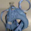 rabbitgoo Dog Harness Small Sized and Leash Set, Step in Soft Light Puppy Vest, Breathable Mesh Pet Harness, Reflective for Safe Easy Walking, Blue XS (XS (Chest: 13.3 - 15.5"))