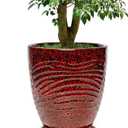 11.8 Inch Modern Ceramic Plant Pot with Saucer, Flower Pot with Drainage Hole Mesh Net,Indoor Outdoor Planter (Speckle Red)