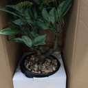 Artificial Bonsai Tree, Small Bay Laurel Bonsai Tree 13" Indoor Bonsai Tree Fake Potted Plant Decorative Fake Desk Plant Decor with Ceramic Pot for Home Office Living Room Bedroom Bathroom Table Shelf