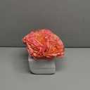 Artificial Rose in Glass Vase Vintage Silk Flower Arrangement with LED Light for Table Centerpiece Home Wedding Decoration (Coral Pink)