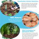 Coco Coir Bricks 6 Pack Premium 100% Organic Peat Moss, Fiber Coconut Husk for Planting, Gardening, Potting Soil Substrate