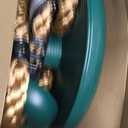 DECORLIFE Tree Swing for Kids, Adjustable Rope Swing Disc Swing for Outside with Platform Carabiners and Strap Outdoor, Playground Accessories, Green