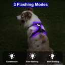 Taglory Light Up Dog Harness, Rechargeable No Pull Dog Vest with 3 Lightning Modes, Reflective Dog Harness with 2 Leash Clips & 4 Adjustable Slide Strips for Large Dogs, Black-Purple, XL