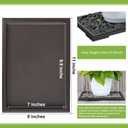 Pinkunn 2 Pcs Bonsai Humidity Tray Rectangular Drip Tray Plastic Plant Water Catcher Plant Saucers for Indoors and Outdoors Cactus,Succulents,Bonsai Tree,Stone Not Included (11 x 8 Inch)