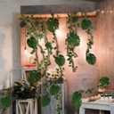 1 Set/23 Pcs Jungle Party Decoration Kit, 10 x 13 ft Netting with Tropical Rainforest Theme Leaves and Artificial Rattan Greenery Garland for Hawaiian Luau Rainforest Indoor Outdoor Decoration