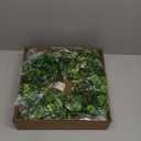 Thick & Timer - St Patricks Day Decorations, 18 Inch St Patricks Day Shamrock Wreaths for Front Door with 20 Green Lights Glitter Clover Berries Spring Wreath Irish St. Patrick's Day Door Decorations