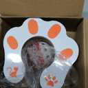 Cat Ball Adventure The Ultimate Interactive Mental & Physical Exercise for Indoor Cats