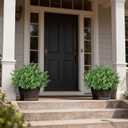 Set of 2 Artificial Boxwood Topiary Trees for Front Door - Faux Realistic Greenery Potted Plants, Fake Outdoor UV-Resistant Bushes with Pots for Porch,Farmhouse,Home,Garden Decor