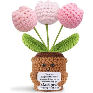 Thank You Gifts for Women Men - Crochet Flower with Inspirational Message, Appreciation Gift for Teacher Coworker Nurse, Desk Office Decor, Birthday Retirement