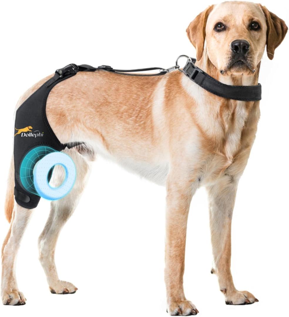 Dog Knee Brace for Torn ACL Hind Leg, Support for Patella Dislocation or Osteoarthritis, Cruciate Ligament Injuries, Cut-Out Non-Slip Wrap Promotes Patellar Stability((Right Leg, M)