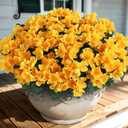 Juxdp 16 Bundles Artificial Camellia for Front Door Outside - Faux UV Resistant Real Looking Camellia Flowers Fake Silk Bouquets Plants for Garden Window Farmhouse Home Spring Summer Decor (Yellow)