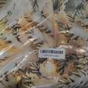 Kate Christmas Farm Photography Backdrops Sonwy Forest Background Xmas Trees Photo Props, 8x8ft