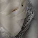 Ivory Tulle Backdrop Curtains with Lights String for Parites Wedding 20×8ft Ivory Sheer Backdrop Curtains for Baby Shower Birthday Party Photo Shoot Background Decorations(4 Panels 5ft×8ft)