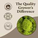 Quality Growers Reindeer Moss, Preserved Moss, Chartreuse, Medium 2-Pack | Preserved Moss for Crafts, Home Decor, Art, Design & DIY Projects, Non-Toxic, All Natural, Family Owned, USA Made