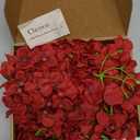 Cherica 20 Pcs Dark Red Hydrangea Artificial Flowers Bulk, Faux Hydrangea Flowers Heads, Artificial Fake Silk Hydrangea Flowers with Stems, Red Flowers Artificial for Decoration Wedding Décor