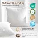 Organic Feather Down Throw Pillow Inserts (16x16 Inch, Set of 2) - 100% Cotton Shell, Filling of Feathers, Square Decorative Pillow Form Core for Couch, Sofa, and Bed