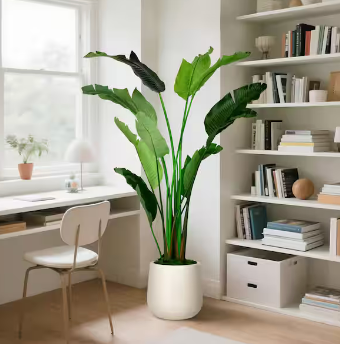 Bird of Paradise Artificial Plant 6FT Banana Leaf Tree - 72 Inch Tall Fake Indoor Tree with Bendable Branches & Realistic Leaves, Faux Floor Plant for Home Office Decor in White Pot