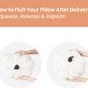 AELS Pumpkin Pillows, Set of 2, Halloween Pumpkin Pillow, Fall Thanksgiving Decorative Throw Pillow, 14 Inch 3D Pumpkin Throw Pillows for Home, Party, Gift, White