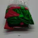 Women Christmas Elf Costume Set Dress Santa's Helper Xmas Outfit with Hat Ears Belt Socks Shoes (Medium, Green)
