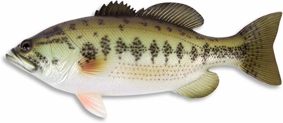 LX Handpainted Bass Statue Game Fish Replica 12" B