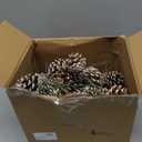 Fangoo 12Pcs 3.1-4.7in Large Natural Pine Cone Picks Snow Christmas Pine Cones with Stems for Crafts Holiday Wreath Garland Party Ornaments Flower Arrangement Fall Thanksgiving Decor (Natural White)