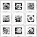 Yaetm 12x12 Picture Frame with Mat for 8x8 Set of 9, Square 12 x 12 Frames, White Gallery Wall Frame 12x12 for Wall Hanging (9 pack, Rustic White)